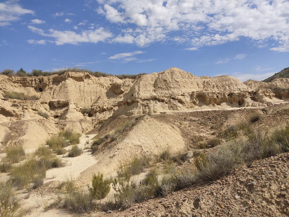 El Pinar De Bardena Villa Carcastillo Kültér fotó