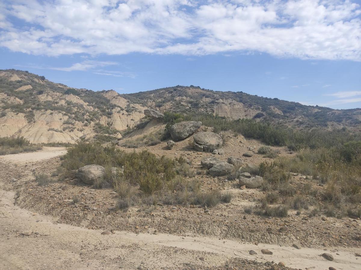 El Pinar De Bardena Villa Carcastillo Kültér fotó